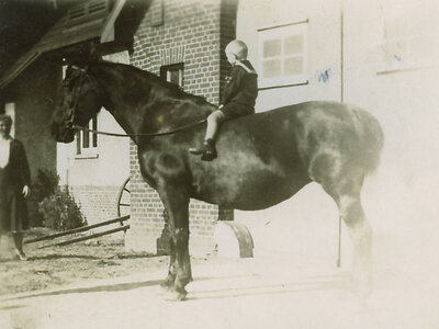 Heino Sosath on a horse in the 1920s