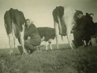 The Sosath farm has also always been home to dairy cows