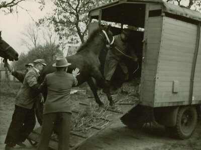 Horse transportation in the past