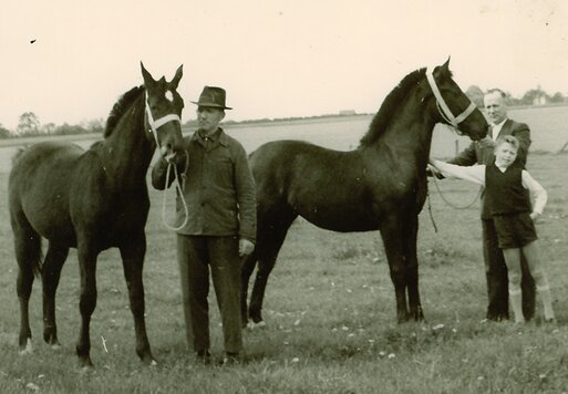 Right: Gerd and his father Heino Sosath with breeding horses