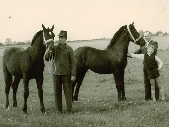 Right: Gerd and his father Heino Sosath with breeding horses