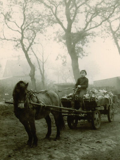 Gerd Sosath and his pony carriage