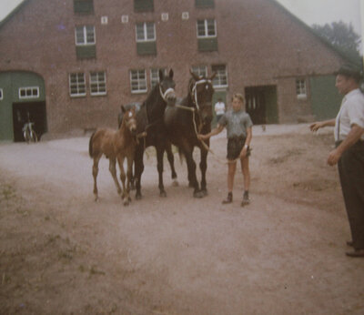 Gerd Sosath and the horses