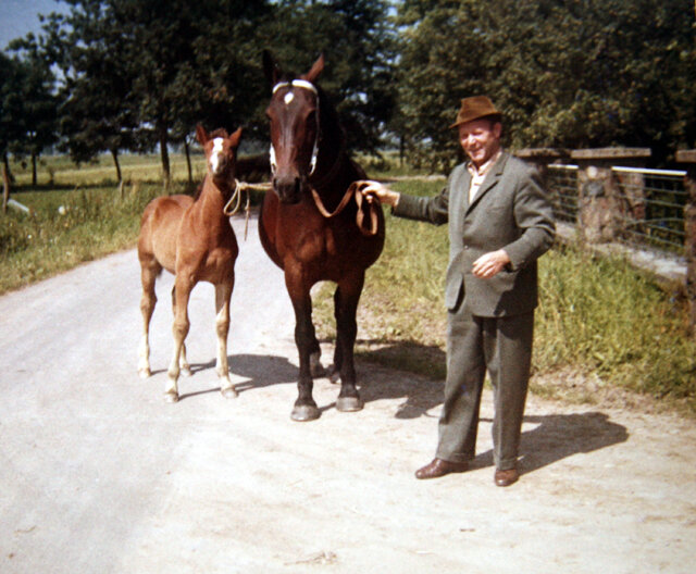 Heino Sosath and mare with foal