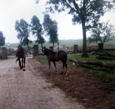 The courtyard entrance in the past