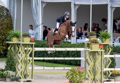 Ermitage Kalone von Catoki aus der Bellaventure Kalone von Kannan | Züchter: Magali Dessalles, Frankreich