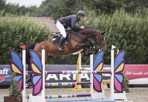 Capital One von Cador aus der Shanuka von Stakkato - Zeus | Züchter: Otto Ahlers, Osterholz-Scharmbeck