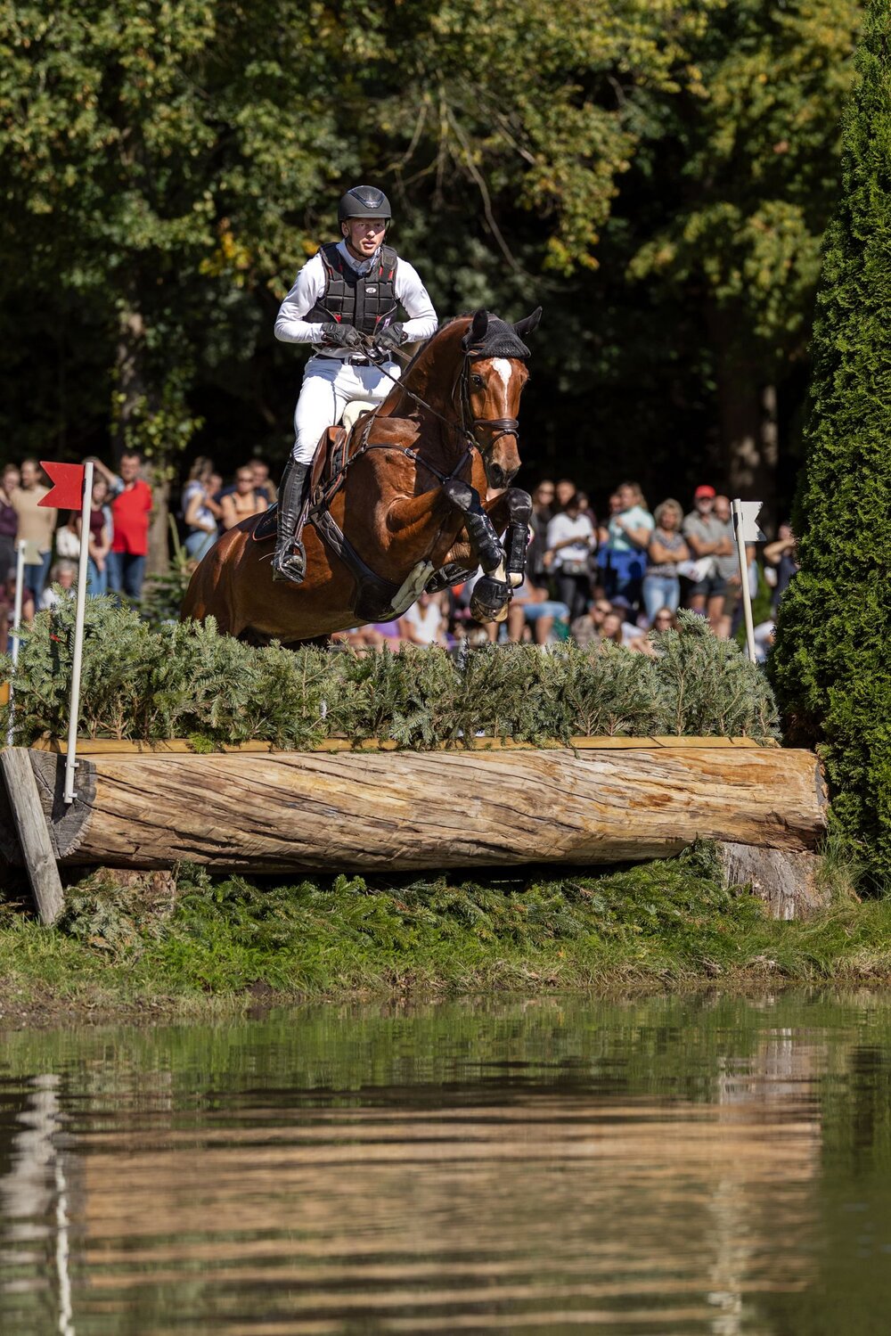 Equitech's Diaccello von Diamant de Plaisir I - Rabino | Züchter: Monika und Carsten Tech