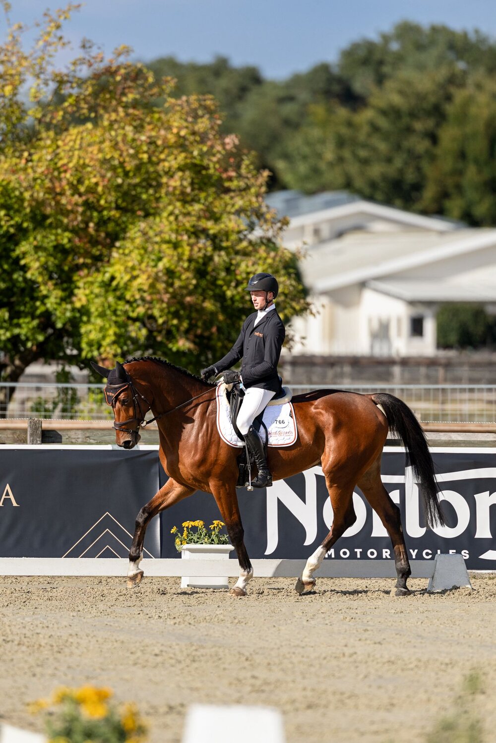 Equitech's Diaccello von Diamant de Plaisir I - Rabino | Züchter: Monika und Carsten Tech