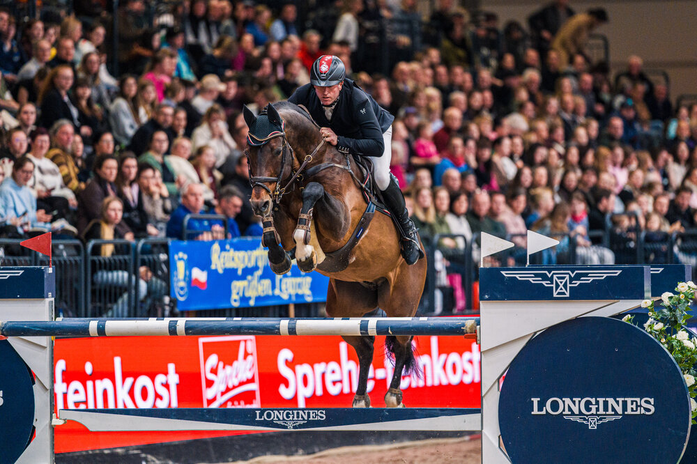 Casino Grande von Casino Berlin aus der Baccara von Contact Me - Landadel | Züchter: Gerd Sosath, Lemwerder