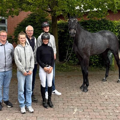 Main Premium Hollywood Dream by Diamant de Plaisir II out of Hollywood by Corlensky G - Landadel | Breeder: Gerd Sosath, Lemwerder