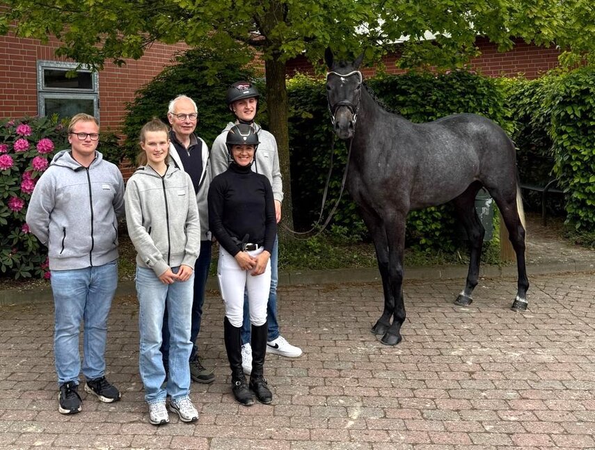 Main Premium Hollywood Dream by Diamant de Plaisir II out of Hollywood by Corlensky G - Landadel | Breeder: Gerd Sosath, Lemwerder