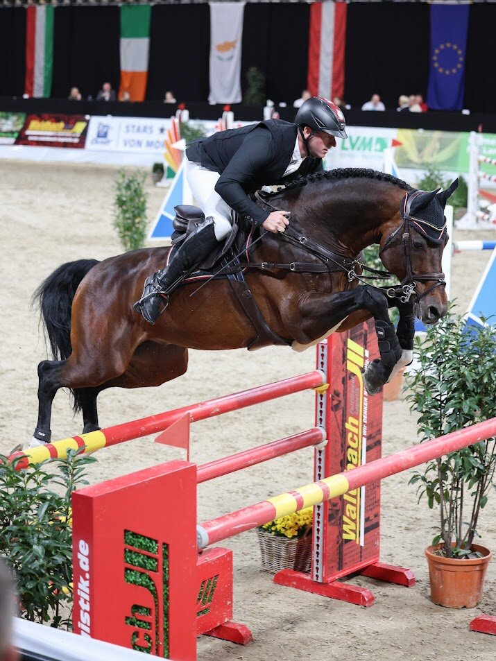 Casino Grande von Casino Berlin aus der Baccara von Contact Me - Landadel | Züchter: Gerd Sosath, Lemwerder 