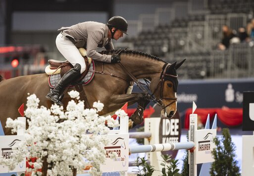 Lady Corlina von Casiro aus der Corlina von Corlensky G - Landor S | Züchter: Gerd Sosath, Lemwerder