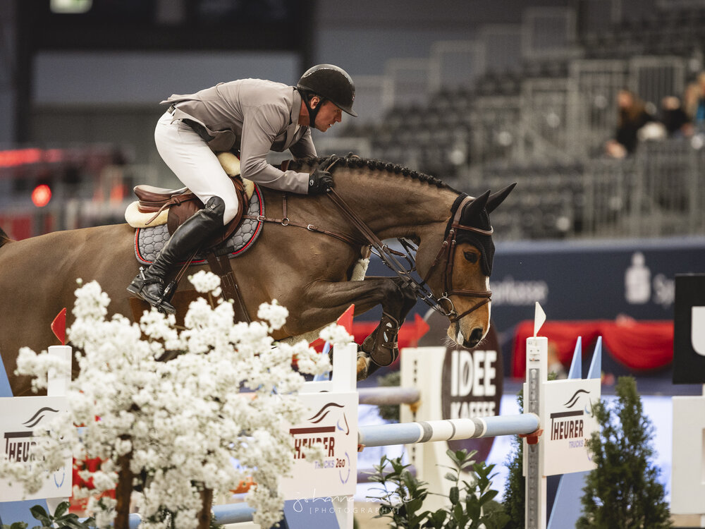Lady Corlina von Casiro aus der Corlina von Corlensky G - Landor S | Züchter: Gerd Sosath, Lemwerder