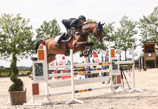 Casper von Casiro aus der Corlina von Corlensky G - Landor S |Züchter: Gerd Sosath, Lemwerder