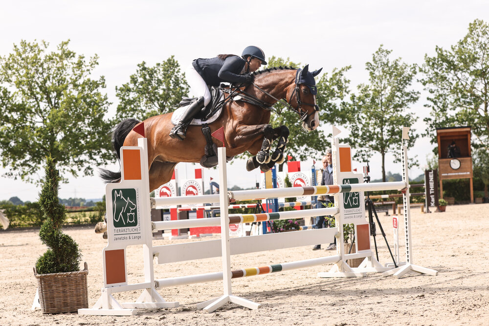 Casper von Casiro aus der Corlina von Corlensky G - Landor S |Züchter: Gerd Sosath, Lemwerder