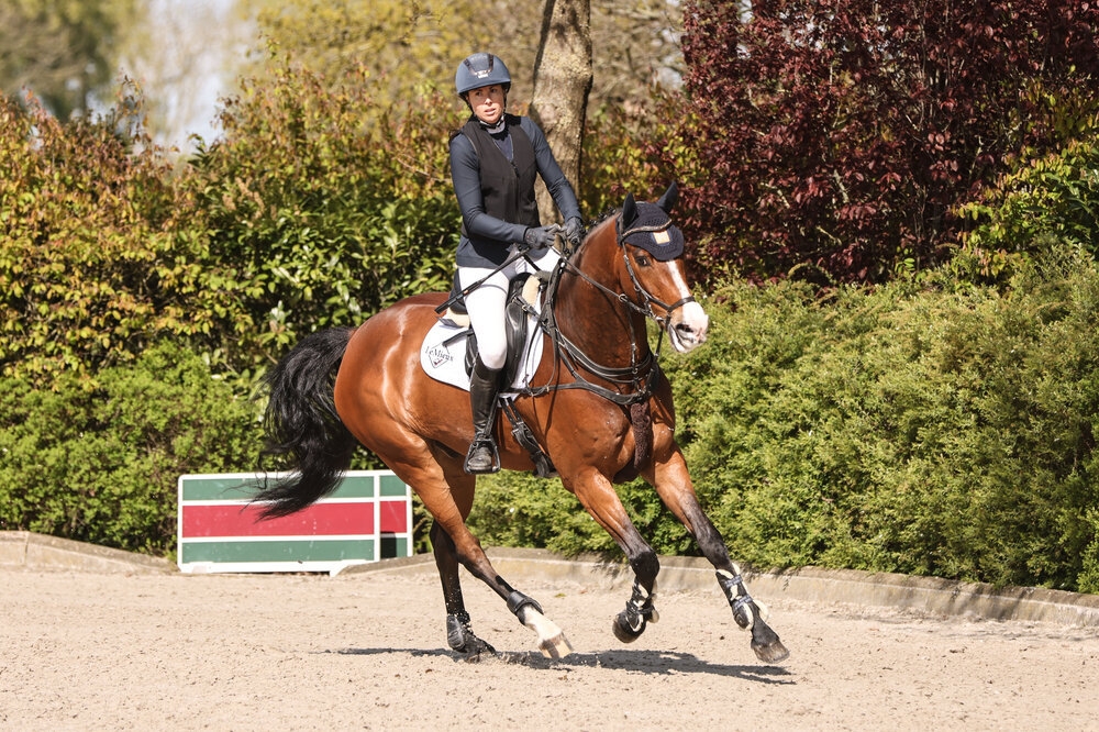 Casper von Casiro aus der Corlina von Corlensky G - Landor S |Züchter: Gerd Sosath, Lemwerder