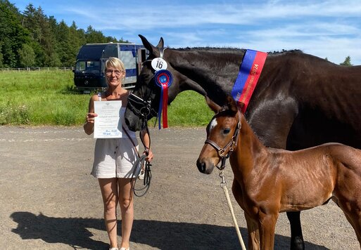 Siegerfohlen von Federer - Johnson - Ronaldo| Züchter: Familie Zell