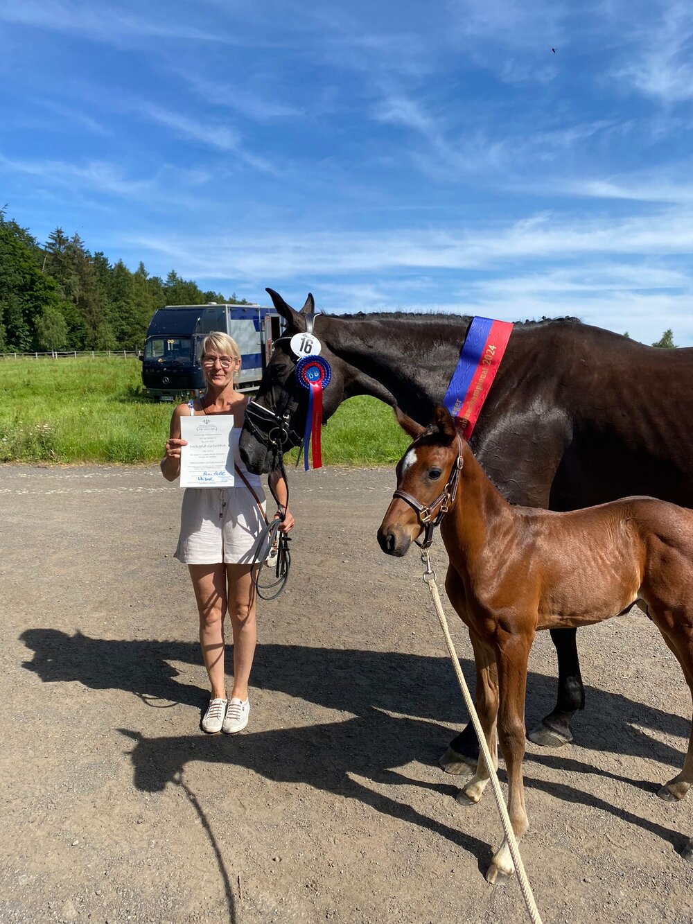 Siegerfohlen von Federer - Johnson - Ronaldo| Züchter: Familie Zell