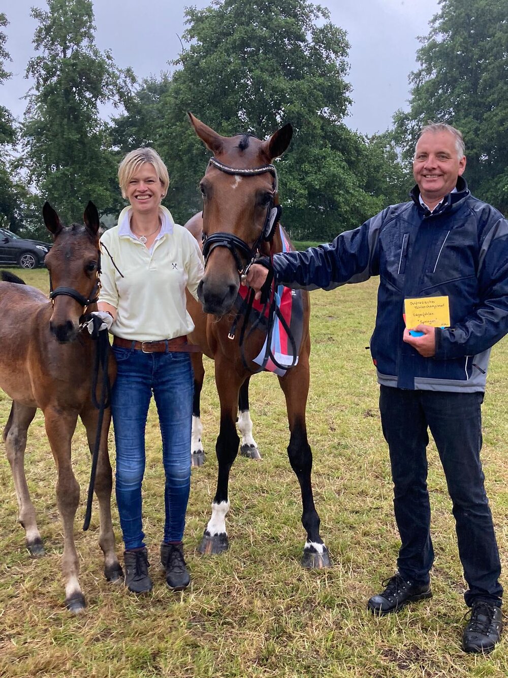 Siegerfohlen des Ostfriesischen Fohlenchampionates von Casino Grande | Züchter: ZG Schau & Dijksterhuis, Hesel