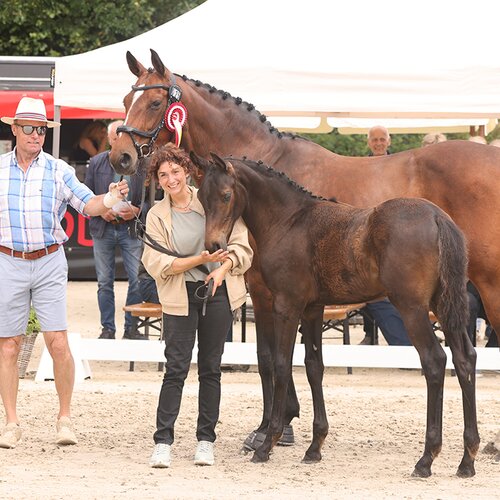 Findus D.B. von Federer aus der Dieda von Desiderio - Bergamon | Züchterin: Derya Barcin, Cuxhaven