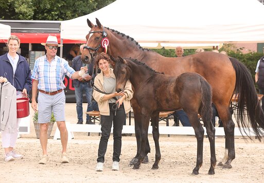 Findus D.B. von Federer aus der Dieda von Desiderio - Bergamon | Züchterin: Derya Barcin, Cuxhaven
