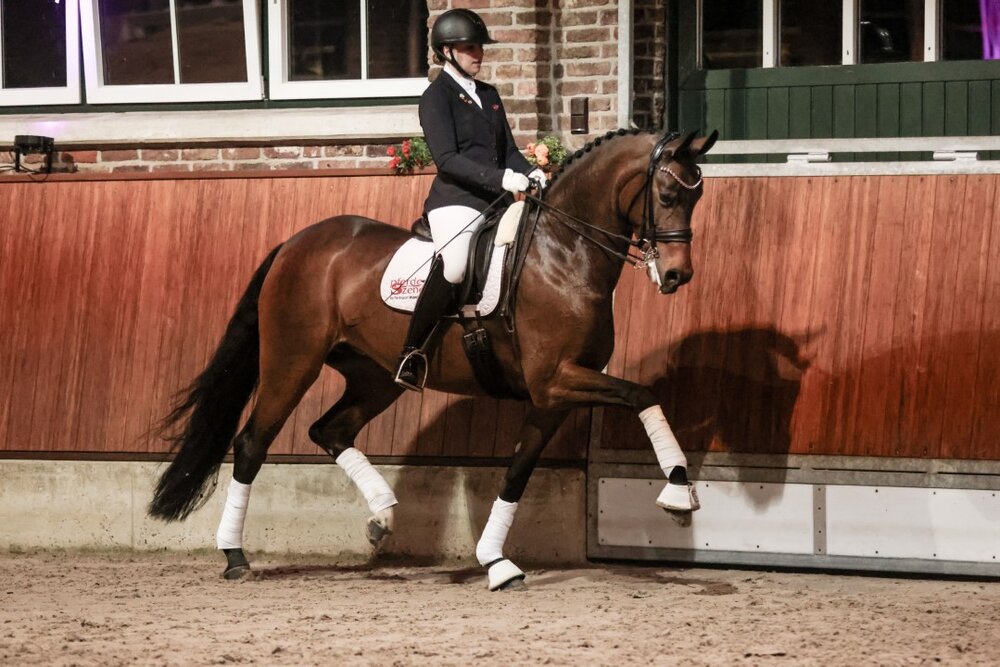 For Rose von For Dance - Rosario - Ehrentusch | Züchter: Dr. Albrecht Dalhoff