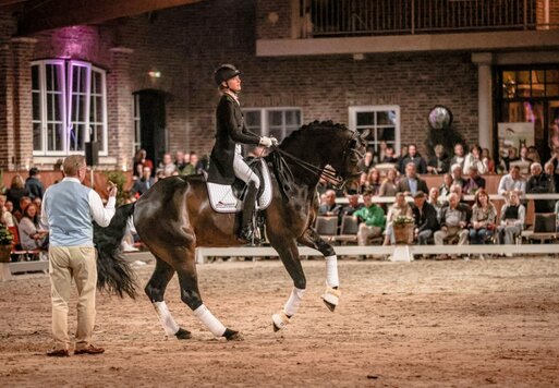 For Dance von For Romance aus der Reverie von Rubiloh - Ehrentusch | Züchter: ZG Butkus, Overath