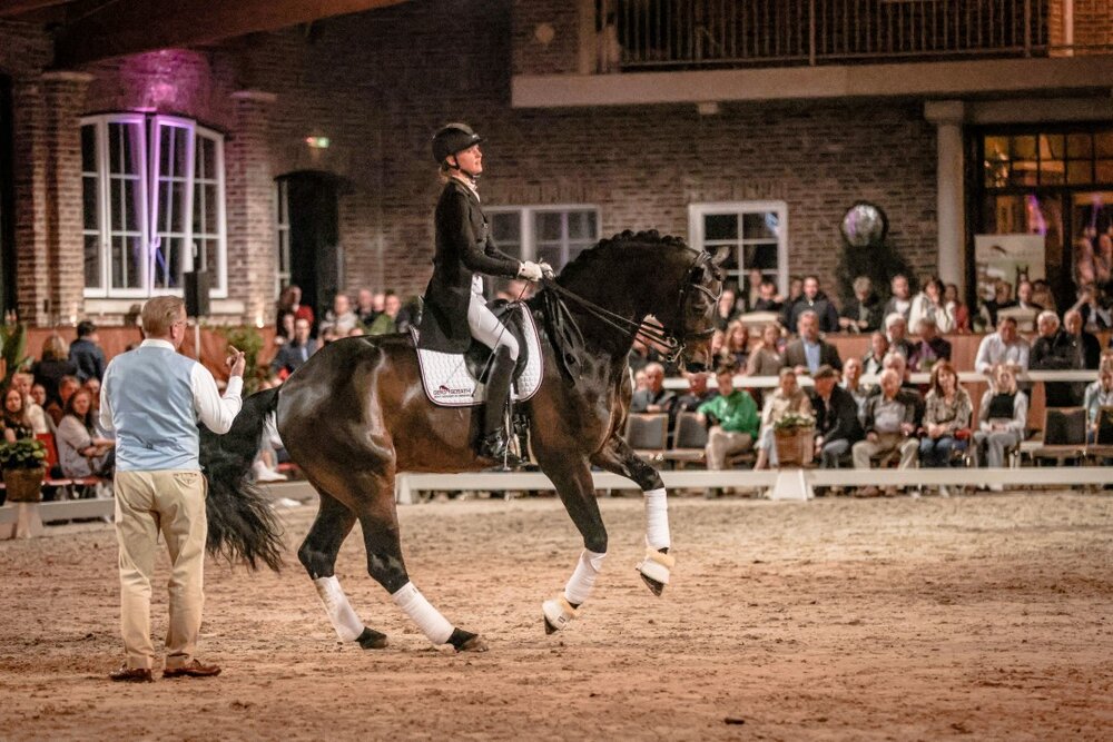 For Dance von For Romance aus der Reverie von Rubiloh - Ehrentusch | Züchter: ZG Butkus, Overath