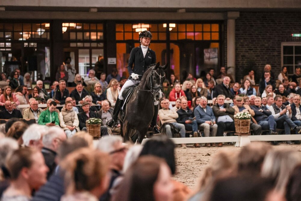 Bondolo von Bonds aus der Touch my Soul SN von Totilas - Stoiber SN | Züchter: Sandra Neff, Frankenberg