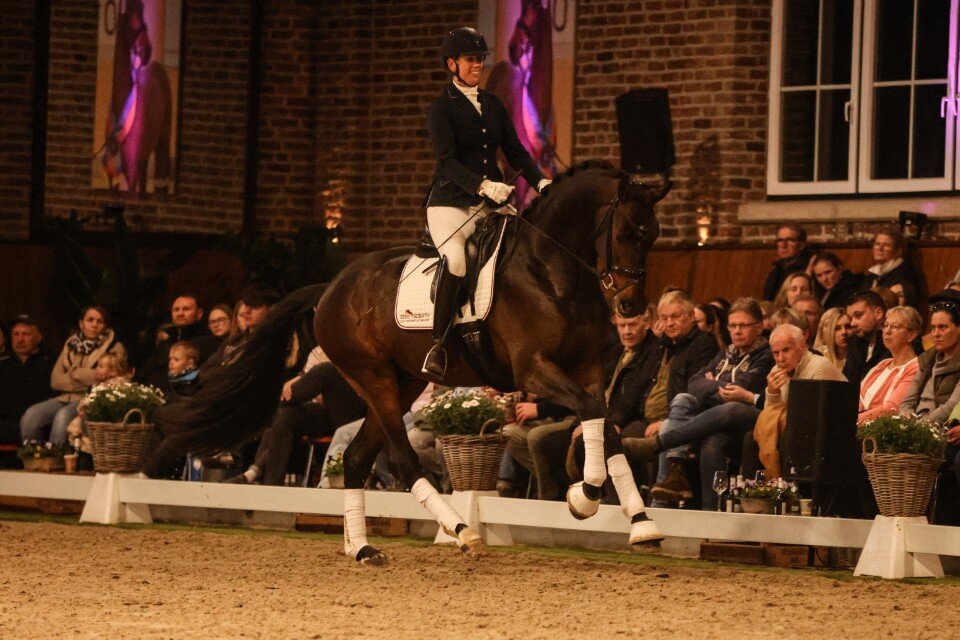 Fine Future von Federer aus der Bonita von Ampère - Donnerschwee | Züchter: Gerd Sosath, Lemwerder