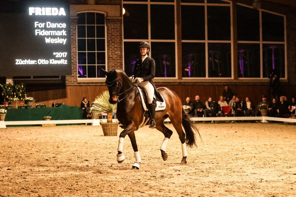Frieda von For Dance aus der Franca von Fidermark - Wesley | Züchter: Otto Klewitz