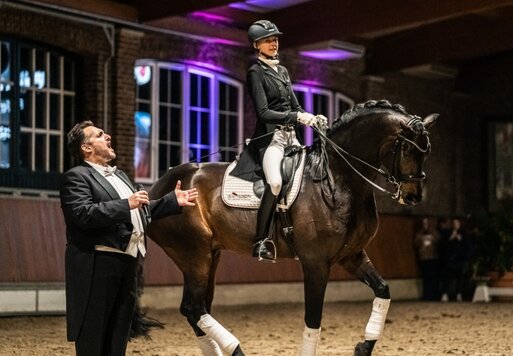 For Dance von For Romance aus der Reverie von Rubiloh - Ehrentusch | Züchter: ZG Butkus, Overath