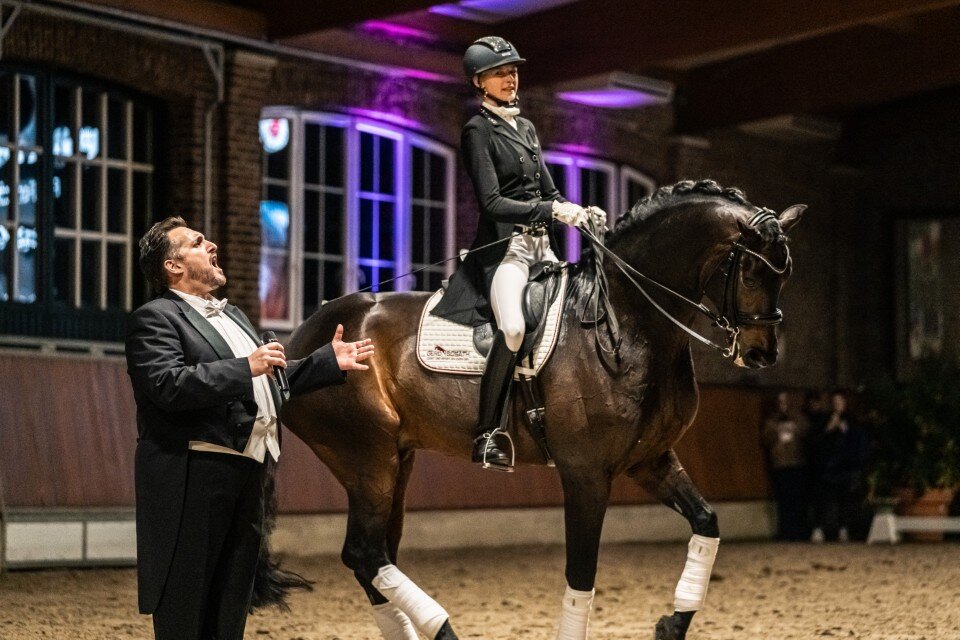 For Dance von For Romance aus der Reverie von Rubiloh - Ehrentusch | Züchter: ZG Butkus, Overath