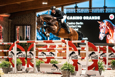 Casino Grande by Casino Berlin OLD out of Baccara by Contact Me - Landadel | Breeder: Gerd Sosath, Lemwerder