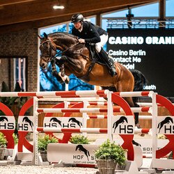 Casino Grande von Casino Berlin OLD aus der Baccara von Contact Me - Landadel | Züchter: Gerd Sosath, Lemwerder