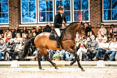 Clear Heart Z by Casall SEM out of Mjanghøj's Count on me Z by 3Q Coulthard - A'Khan Z |Breeder: Torben Nielsen and Eva Jørgensen , Denmark