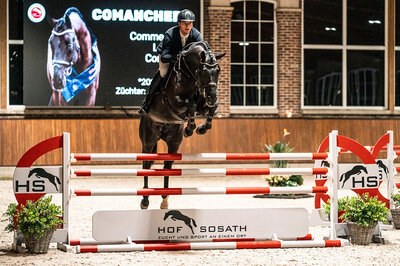 Comanchero by Comme Prévu out of Lady Heida II by Landor S - Contender | Breeder: Gerd Sosath, Lemwerder 