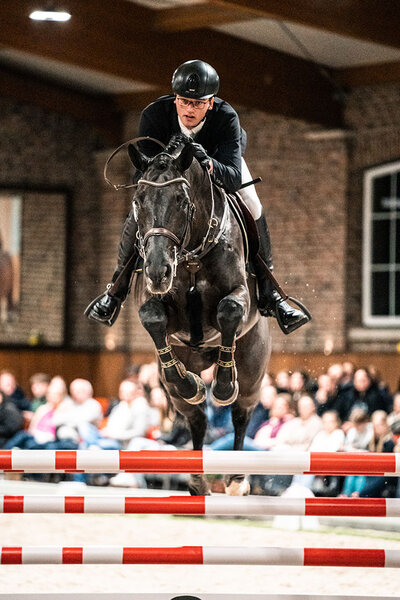 Comanchero by Comme Prévu out of Lady Heida II by Landor S - Contender | Breeder: Gerd Sosath, Lemwerder 