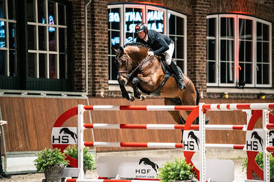 Diamant de Plaisir II by Diamant de Semilly out of Lady Pleasure by For Pleasure x Landor S | Breeder: Gerd Sosath, Lemwerder  