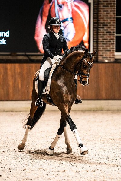Hesselhøj Donkey Boy by Dancing Hit out of Sobakkehus Kamilja Milan x Kawango| Breeder: Dorthe und Hans Jorgen Hoeck, Denmark
