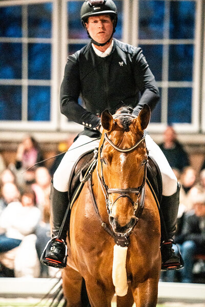 Easy Jet by Emerald van't Ruytershof out of Celestine by Cornet Obolensky - Pilot | Breeder: Zuchtgemeinschaft Blüggel, Hamm