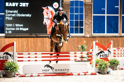 Easy Jet by Emerald van't Ruytershof out of Celestine by Cornet Obolensky - Pilot | Breeder: Zuchtgemeinschaft Blüggel, Hamm