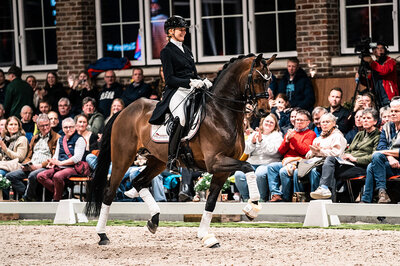 Federer by Farrell out of Lillyfee by Livaldon x Canstakko | Breeder: Wienke Winkelmann, Wurster Nordseeküste 