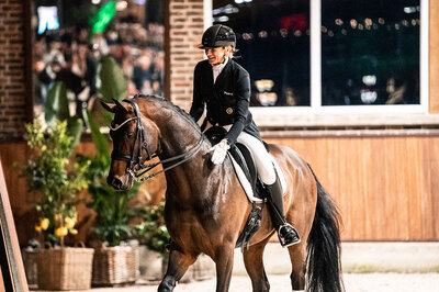 Federer by Farrell out of Lillyfee by Livaldon x Canstakko | Breeder: Wienke Winkelmann, Wurster Nordseeküste 