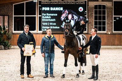 For Dance by For Romance out of Reverie by Rubiloh - Ehrentusch | Breeder: ZG Butkus, Overath  