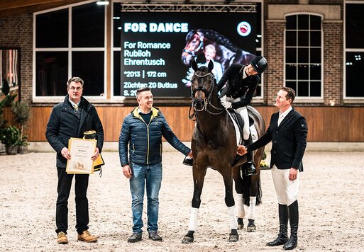 For Dance von For Romance aus der Reverie von Rubiloh - Ehrentusch |Züchter: ZG Butkus, Overath   