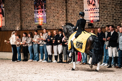 For Dance by For Romance out of Reverie by Rubiloh - Ehrentusch | Breeder: ZG Butkus, Overath  