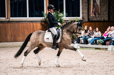 Noble Dance NRW by Neverland WE out of Alposas Calimeros Champions League by FS Calimero - FS Champion de Luxe | Breeder: Simone Liebing, Olfen